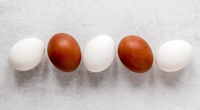 Ovo marrom ou ovo branco? Você sabe a diferença? / Freepik / Ovo marrom ou ovo branco? Você sa...