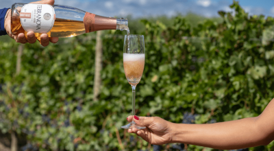 Vinho Terra Nova | Divulgação / Vinho Terra Nova | Divulgação
